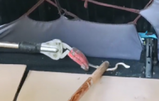 Ağrı'da Araca Sıkışan Yılan Kurtarıldı