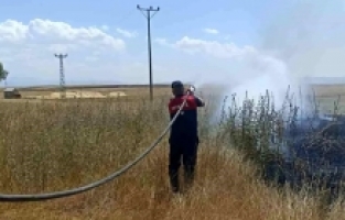 Ağrı'da Sıcak Havalar Köylerde Tarla Yangınlarına Sebep Oluyor