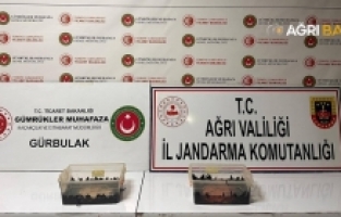 Ağrı'da 350 Adet Canlı sülük ele geçirildi