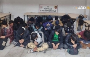 Ağrı'da 24 düzensiz afgan göçmen yakalandı