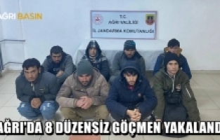 Ağrı Doğubayazıt'ta  8 düzensiz göçmen yakalandı