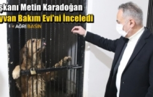 Ağrı Belediye Başkanı Metin Karadoğan Hayvan Bakım Evi'ni İnceledi