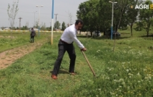 Ağrı Belediyesi'nden Şehir Bakımında Çalışmalar