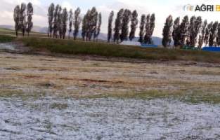 Ağrı'da Üç Günlük Yağmur Doluya Dönüştü