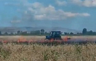 Ağrı'da Arpa Ekili Arazi Küle Döndü