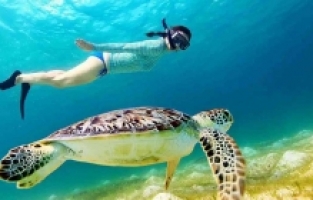 Yaz Tatilinizi Konforlu Hale Getirecek Plaj Ekipmanları