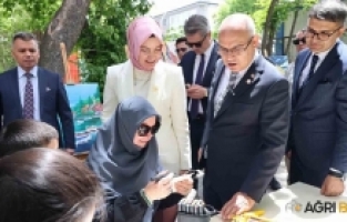 Hayat Boyu Öğrenme Şenlikleri Sergisi Açıldı