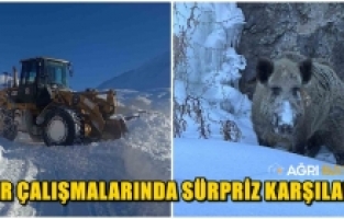 Eleşkirt’te çığ temizlendi, 55 köy yolu ulaşıma açıldı