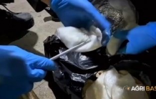 Ağrı’da operasyonda 8,3 kilo metamfetamin ele geçirildi