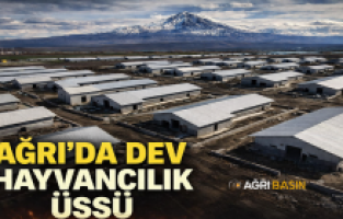 Ağrı’da 307 Ahırlık dev hayvancılık üssü kuruluyor