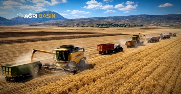 Ağrı'da Buğday Hasadı Başladı: Verimde Büyük Beklenti