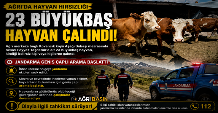 Ağrı'da 23 Büyükbaş Hayvan Gece Yarısı Çalındı