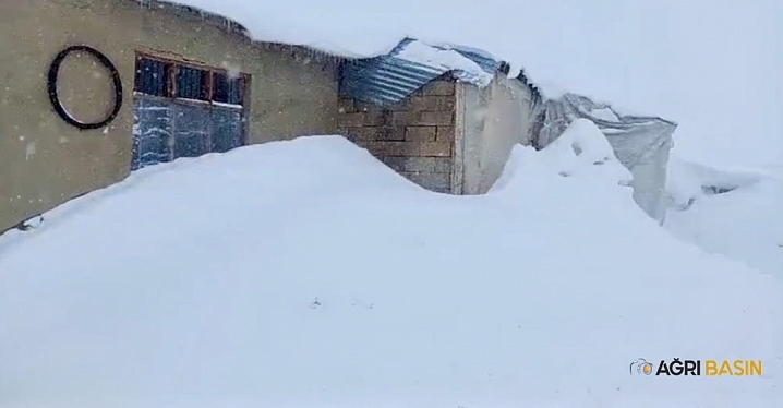 Nisanda kar şoku: Köyde hayat durma noktasında