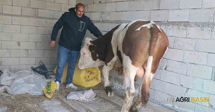 Diyadinli Besiciden Mandıra Çağrısı