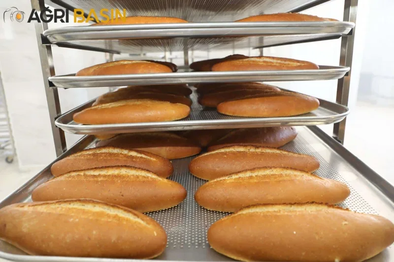 Ağrı'da Öğrenciler günlük 10 Bin Ekmek Üretecek