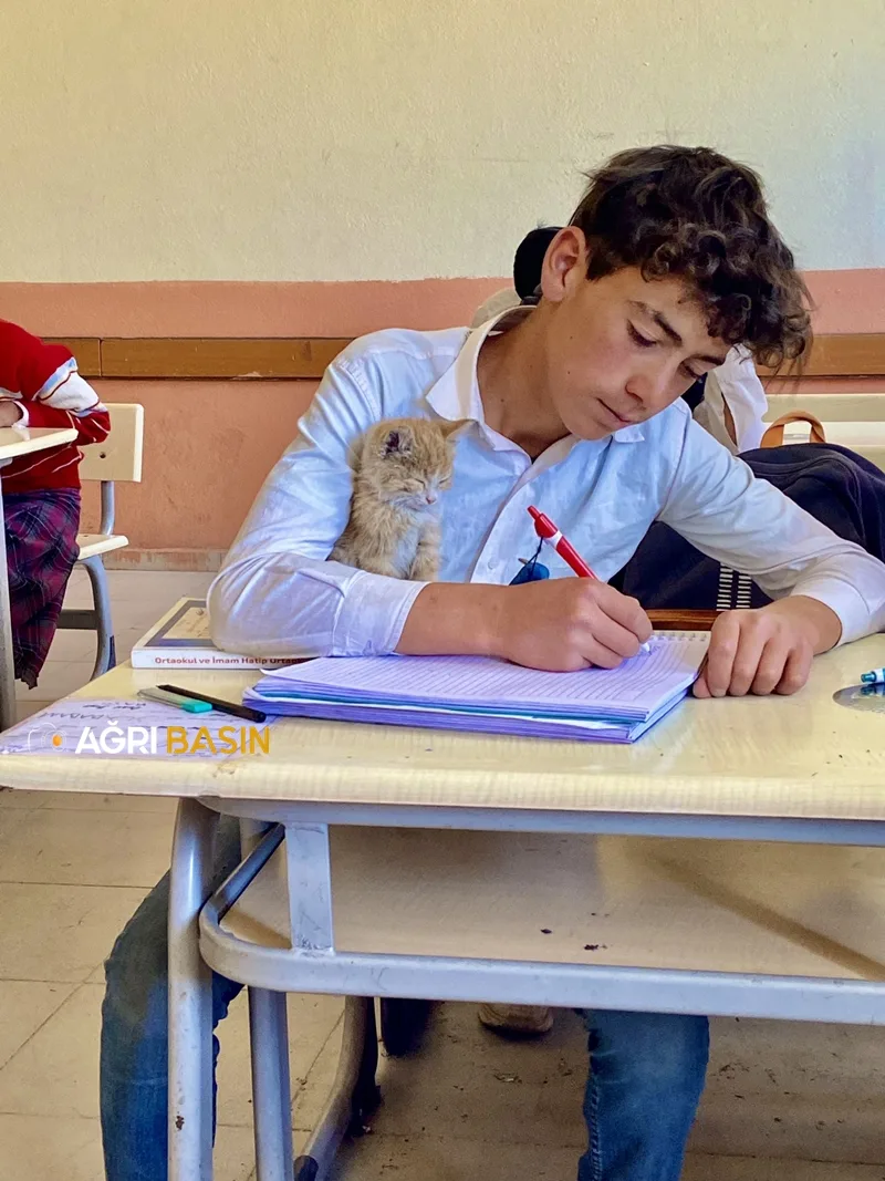 Diyadin'de Okul Öğrencilerin sahip çıktığı yavru kedinin yuvası oldu