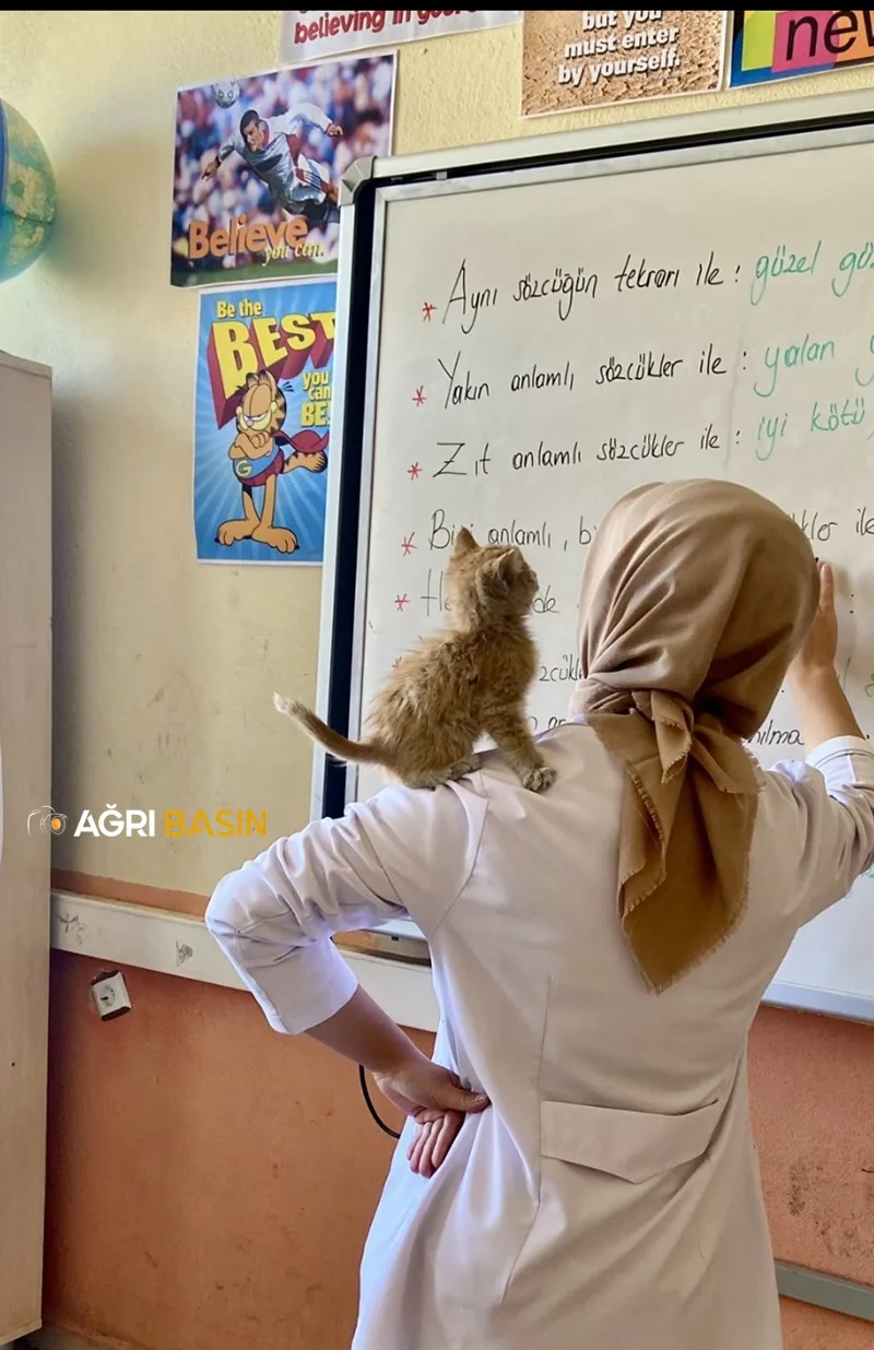 Diyadin'de Okul Öğrencilerin sahip çıktığı yavru kedinin yuvası oldu