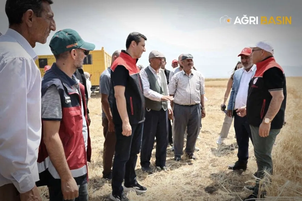 Ağrı’da Buğday ve Arpa Hasadı Başladı