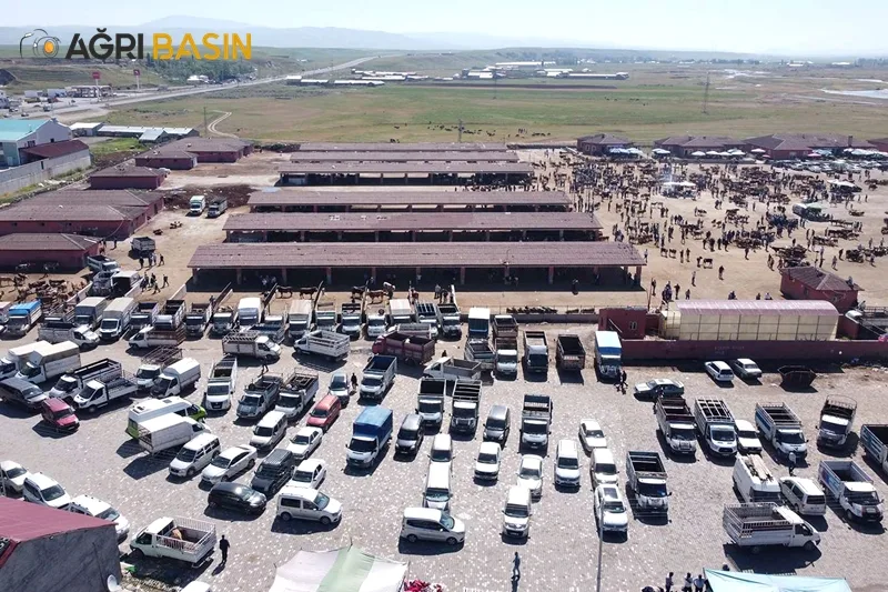 Yaklaşan Kurban Bayramı Öncesi Ağrı'da Hayvan Pazarında Hareketlilik başladı