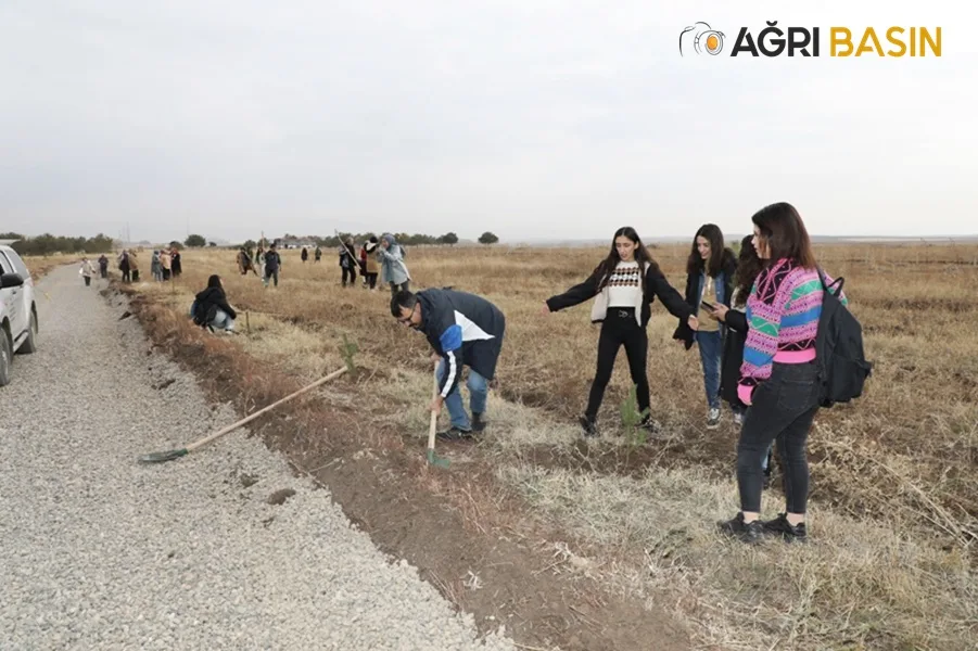 Ağrı’da 41 Maden Şehidi Anısına Fidan Dikildi