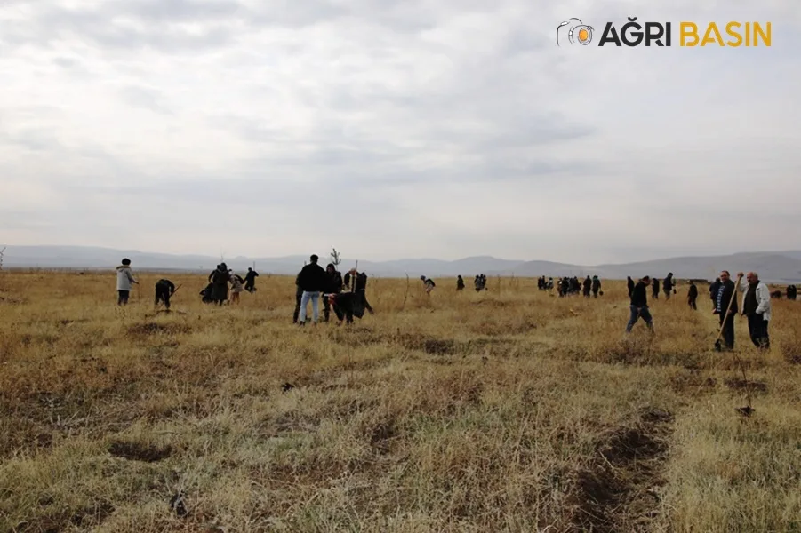 Ağrı’da 41 Maden Şehidi Anısına Fidan Dikildi