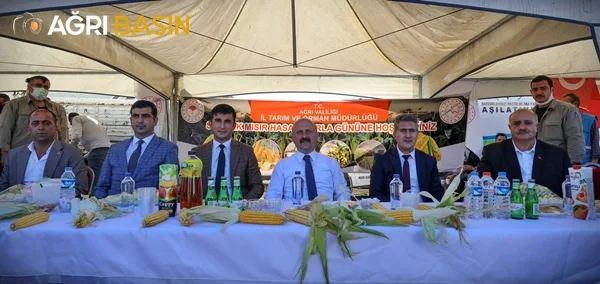 Ağrı'da Silajlık Mısır Hasadı Başladı