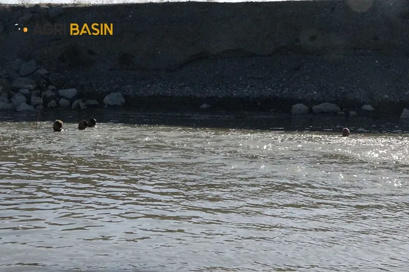 Ağrı'da Serinlemek için dereye giren iki kardeş boğuldu