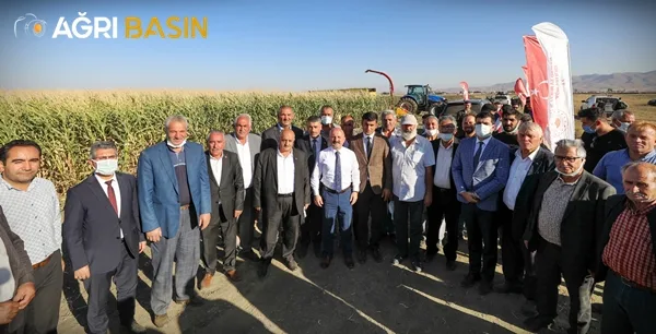 Ağrı'da Silajlık Mısır Hasadı Başladı