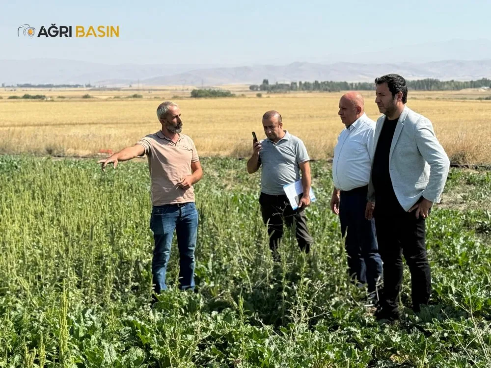 Ağrı Şeker Fabrikası üretime başladı, yaş küspe satışta