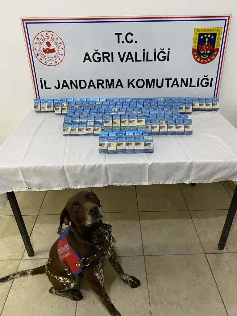 Ağrı'da Jandarma Operasyonu 1376 Paket Kaçak Sigara Ele Geçirildi, 6 Gözaltı