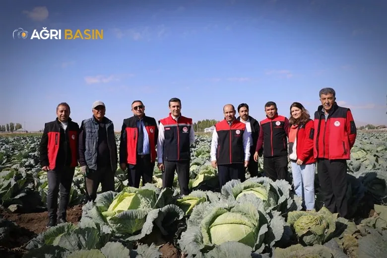 Patnos’ta lahana hasadı bereketle başladı