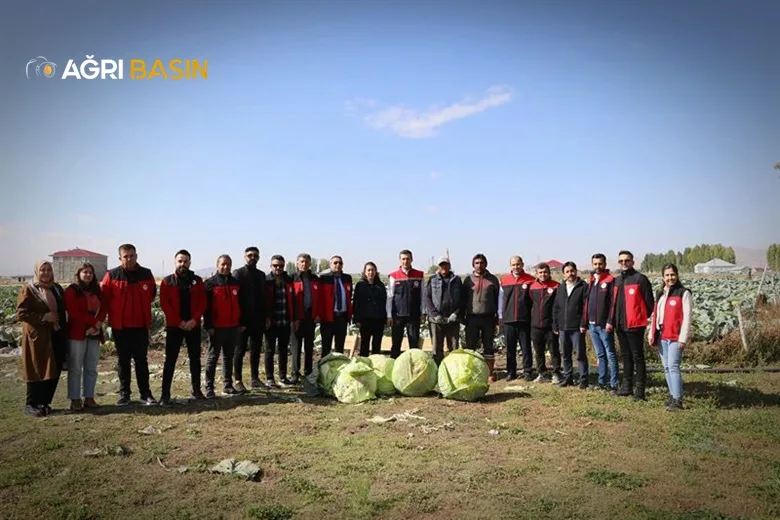 Patnos’ta lahana hasadı bereketle başladı