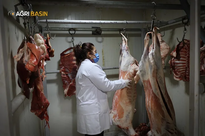 Ağrı Belediyesi’nden Kasap İşletmelerine Sıkı Gıda Denetimi