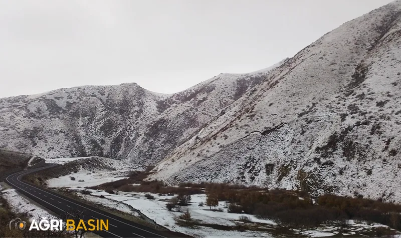 Ağrı'da Yüksek kesimlere kar Yağışı