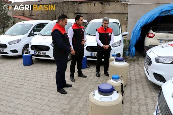 Ağrı'da 2. Etap Suni Tohumlama Çalışmaları Başladı