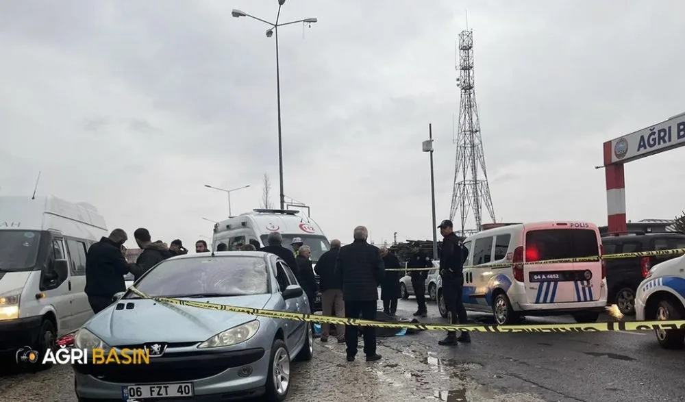 Ağrı'da trafik kazası! Yaşar Demir hayatını kaybetti