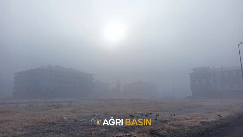 Ağrı'da etkili olan yoğun sis sürücülere zor anlar yaşattı