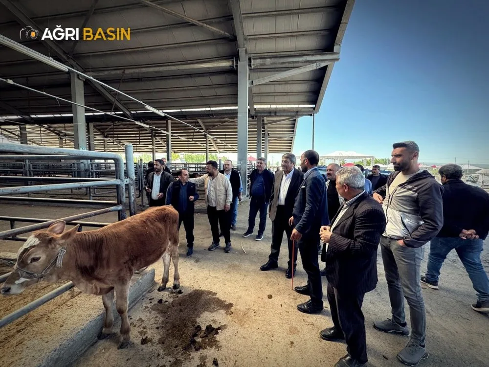 Patnos Hayvan Pazarı Esnafına Kantar Müjdesi