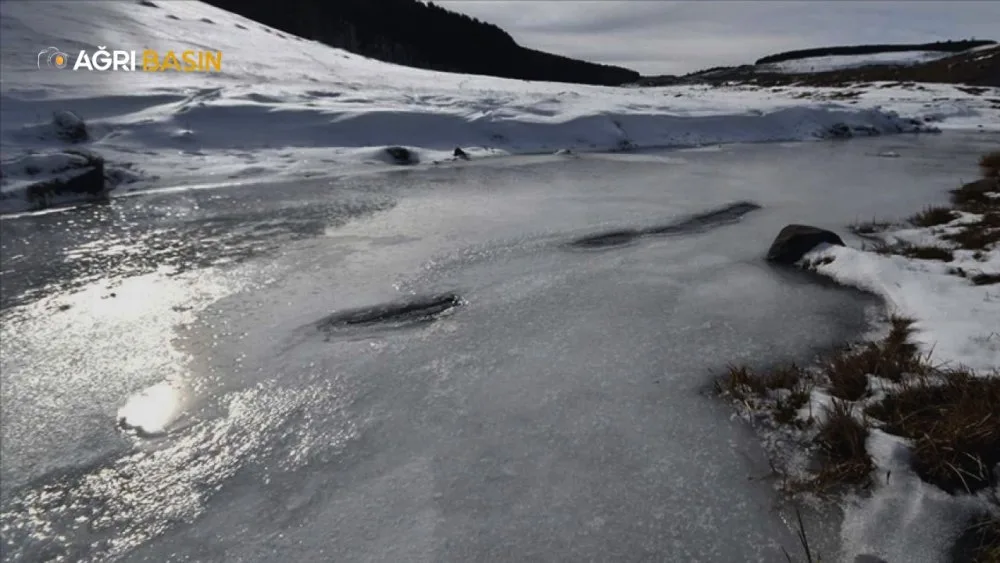 Doğu Anadolu'da Soğuk Hava Erzurum, Ardahan, Ağrı, Kars, Iğdır Buzla Kaplandı