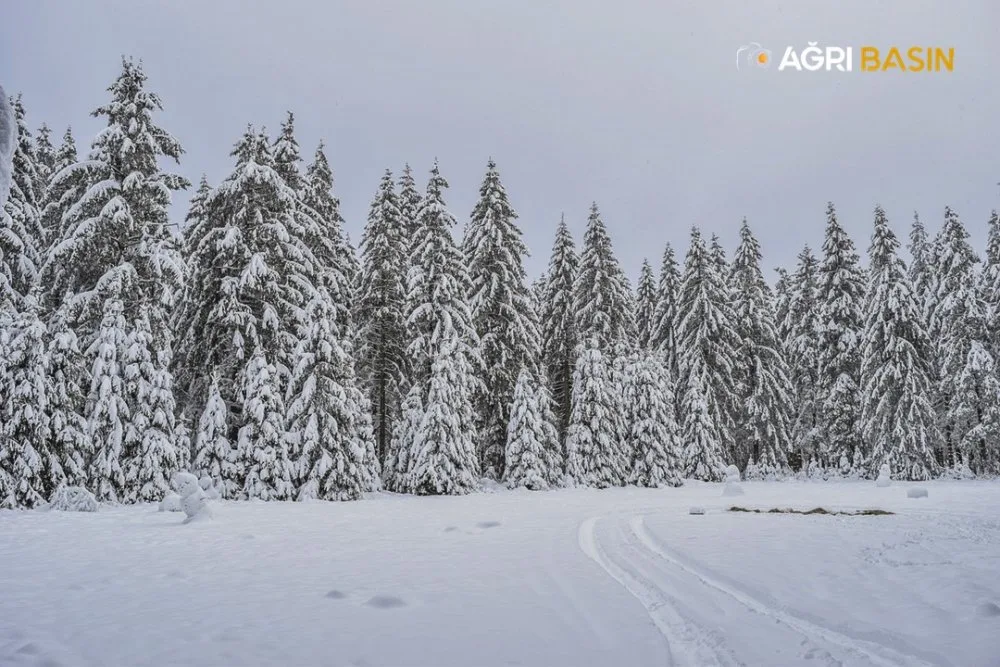 Soğuk Hava Dalgası Ağrı, Ardahan ve Kars'ta Hayatı Olumsuz Etkiliyor