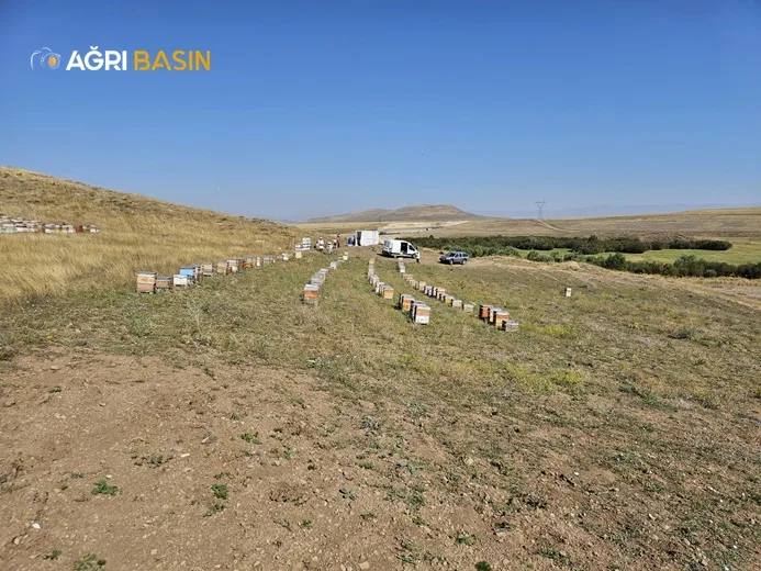 Türk Kızılay Ağrı Şubesinden İhtiyaç Sahiplerine Bal ve Burs Desteği