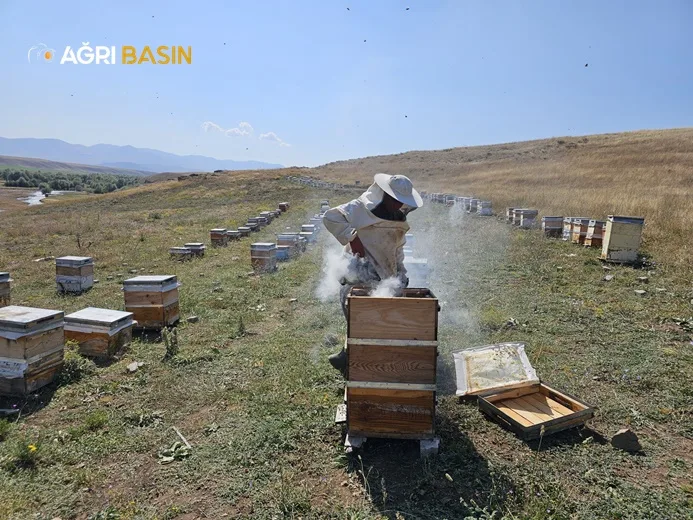 Türk Kızılay Ağrı Şubesinden İhtiyaç Sahiplerine Bal ve Burs Desteği