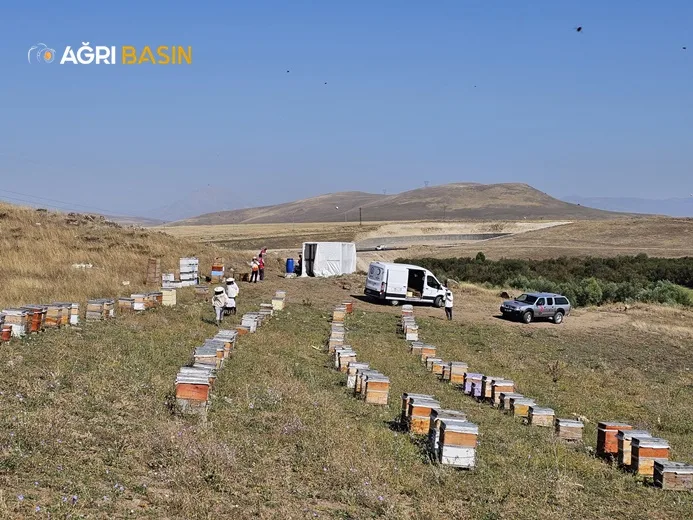 Türk Kızılay Ağrı Şubesinden İhtiyaç Sahiplerine Bal ve Burs Desteği
