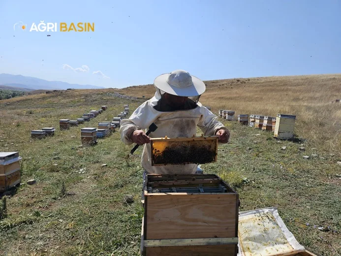 Türk Kızılay Ağrı Şubesinden İhtiyaç Sahiplerine Bal ve Burs Desteği